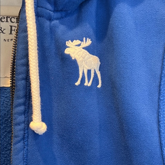 Abercrombie & Fitch Men's Muscle Fit Full-Zip Hoodie Royal Blue Size M - Picture 4 of 9